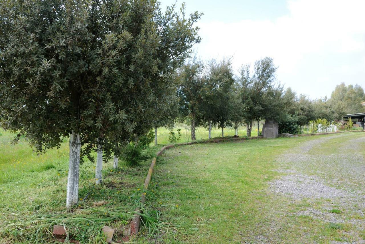 Tra Mare E Monti Apartamento Santa Giusta Exterior foto