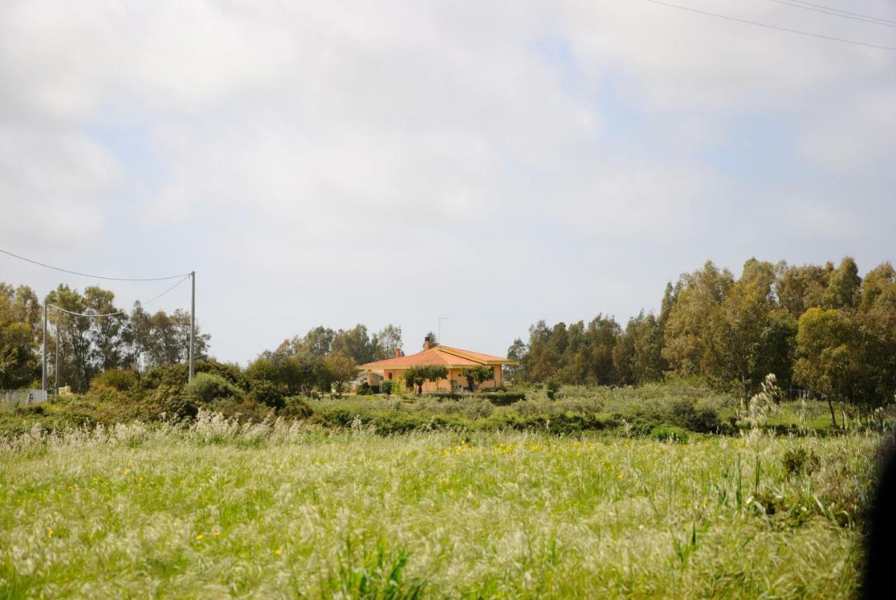 Tra Mare E Monti Apartamento Santa Giusta Exterior foto